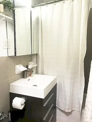 Rented by Brooklyn Rentals NYC | media 16