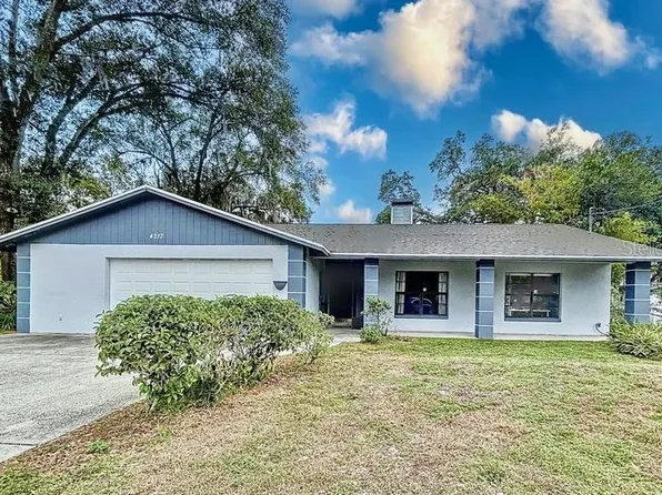 4217 E Alene Dr, Tampa, FL 33617