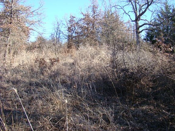 5th image of 245 County Road 3471