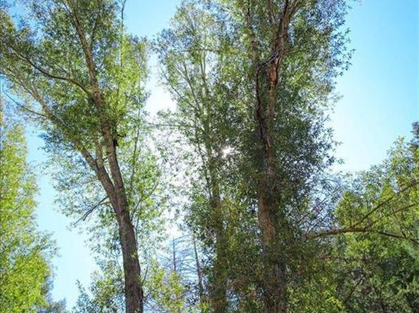 45 & 69 Evening Rain Court, Pagosa Springs, CO 81147