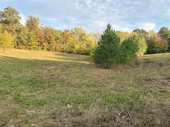 0 Sara Acres Dr, Tennessee Ridge, TN 37178