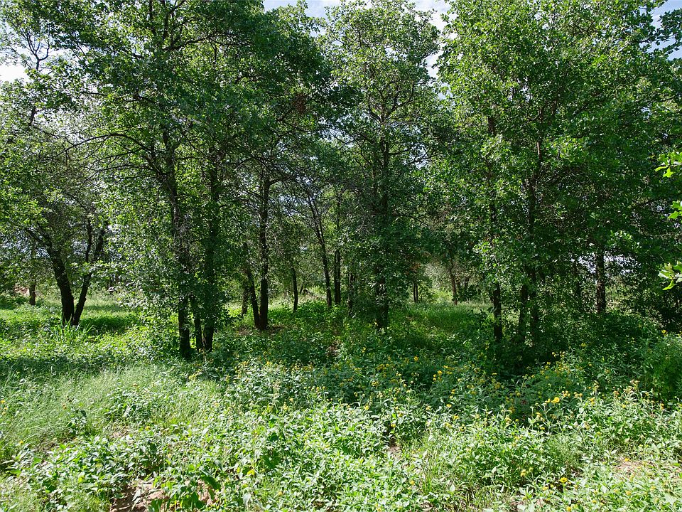 1st image of 10818 County Road 335