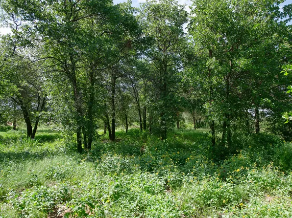 10818 County Road 335, Hawley, TX 79525