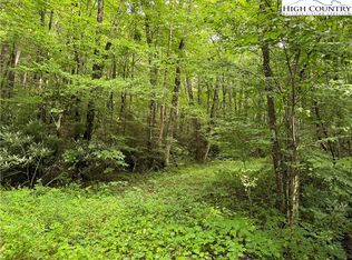 Tbd South Bald Fork Rd, Todd, NC 28684