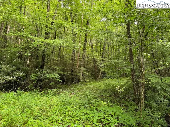 TBD South Bald Fork Road, Todd, NC 28684