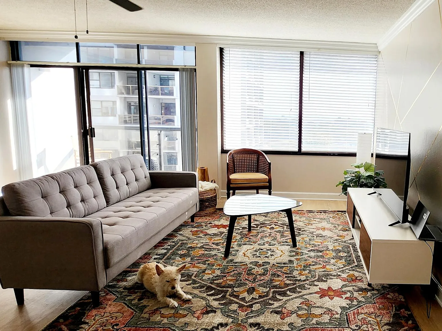 1 bed, 720 sqft, $1,800 — Photo 2