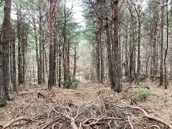 4th image of 2510 W Winston Rd