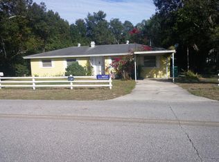 118 E 1st Ave, Pierson, FL 32180