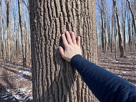 4th image of V/l 5 Painesville Warren Rd