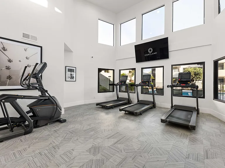Cortland Scottsdale Mountain — Photo 14