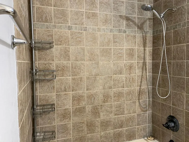 Tub shower