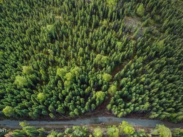 L1-2-B3 Robert Ave, Soldotna, AK 99669