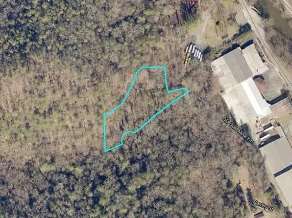 170 Old Goldmine Trl, Helen, GA 30545