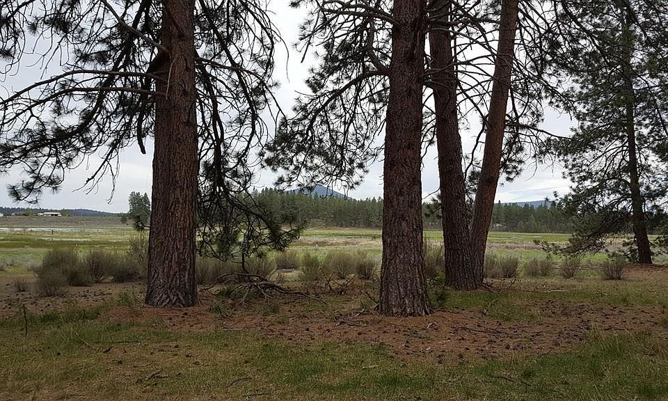 2nd image of 40525 Nine Mile Rd