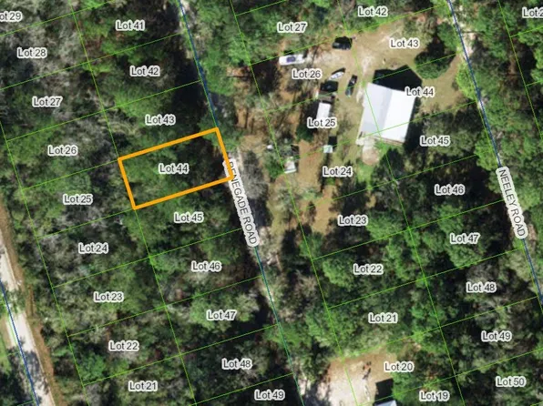 Xx Renegage Rd, Crawfordville, FL 32327
