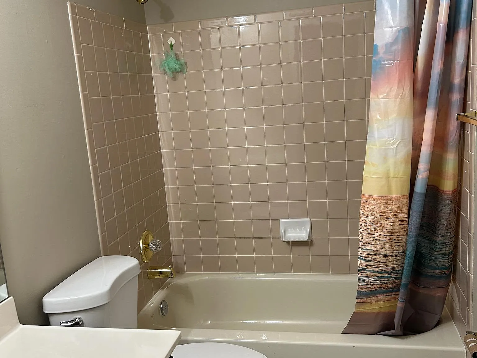 3 bed, 1502 sqft, $2,450 — Photo 4