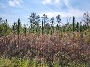 NW Azalea St LOT 15, Bristol, FL 32321