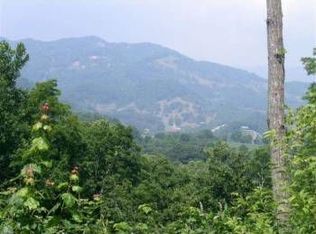 125 Wild Rock Ct, Clyde, NC 28721