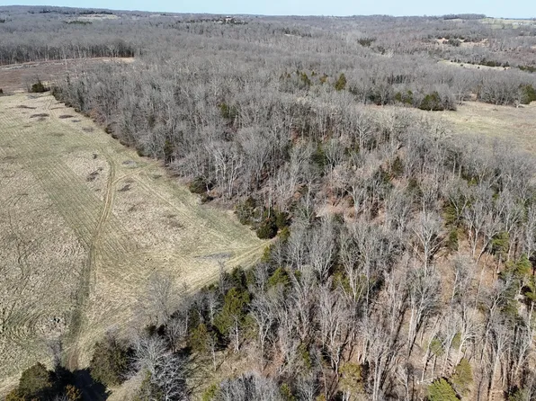 Tract 6 0 Highway, Hartville, MO 65667