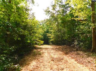 110 Firebird Ln, Pelion, SC 29123