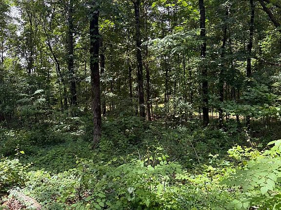 5th image of 324 County Road 426