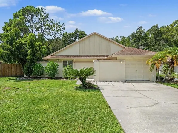 5953 BIRCHWOOD DRIVE, TAMPA, FL 33625