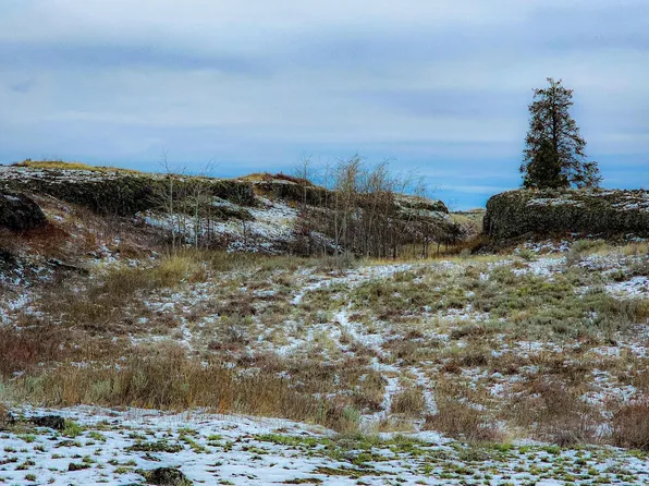 27991 Telford South Cole Ranch Rd, Davenport, WA 99122