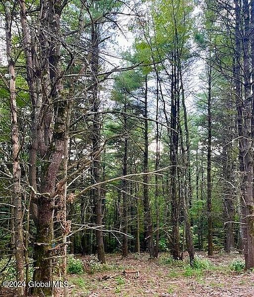 4th image of L67 Old Ghost Road Lot 6
