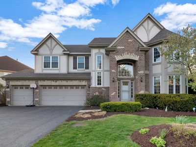 26112 W Mapleview Dr, Plainfield, IL, 60585
