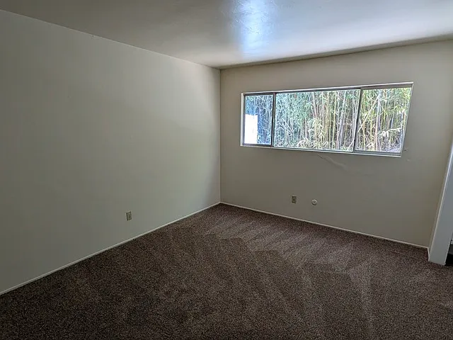 5209 Hewlett Dr — Photo 13