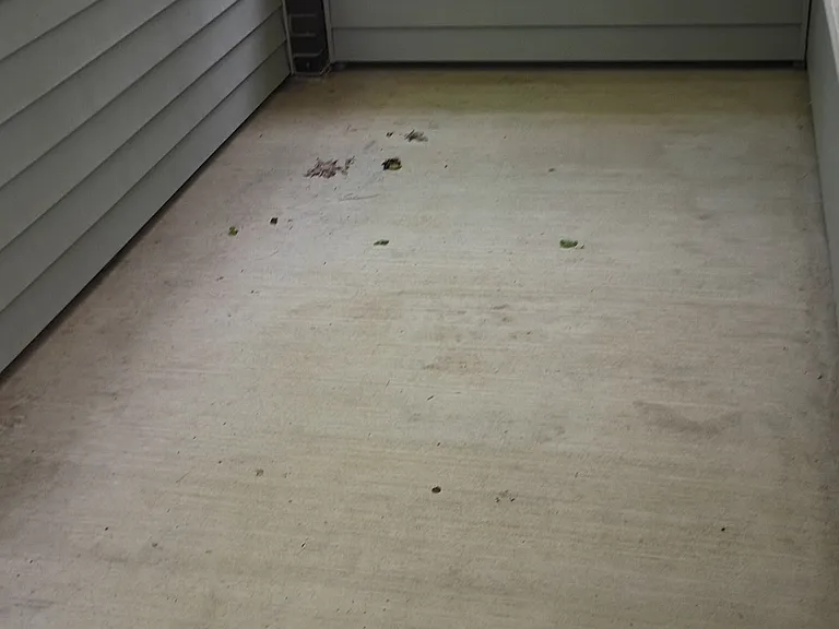 296 Ivy Pl — Photo 20