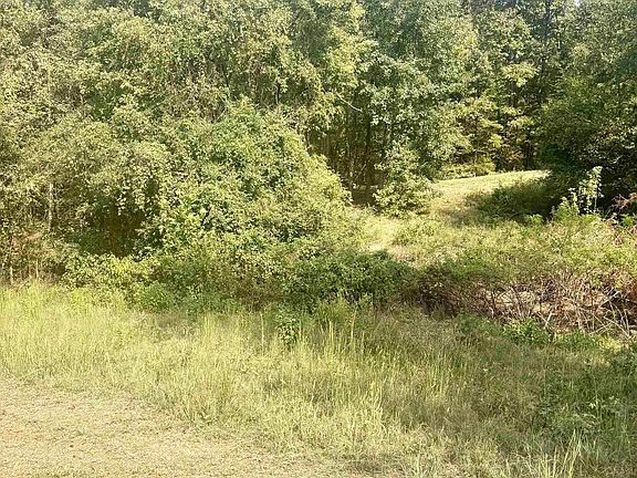 5th image of TRACT 2 Steel Bridge Rd