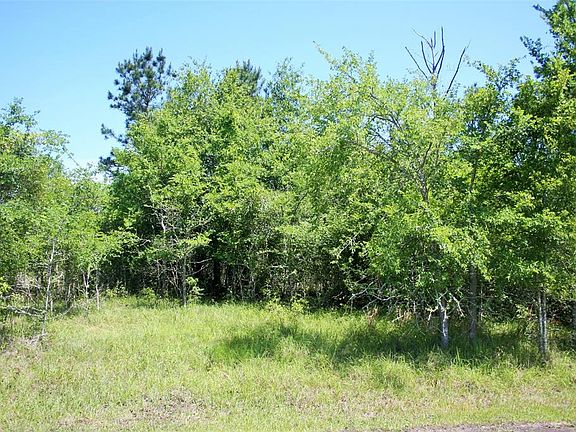 5th image of 1 Shady Oak Ln