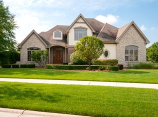 22607 S Pebble Lake Ct, Frankfort, IL 60423