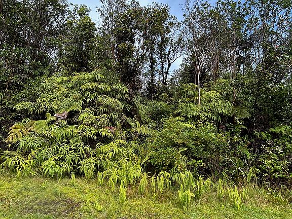 2nd image of 11-2496 Makoa Rd Lot 65