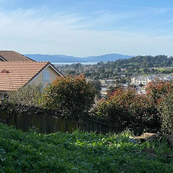 3937 La Cresenta Rd — Photo 17