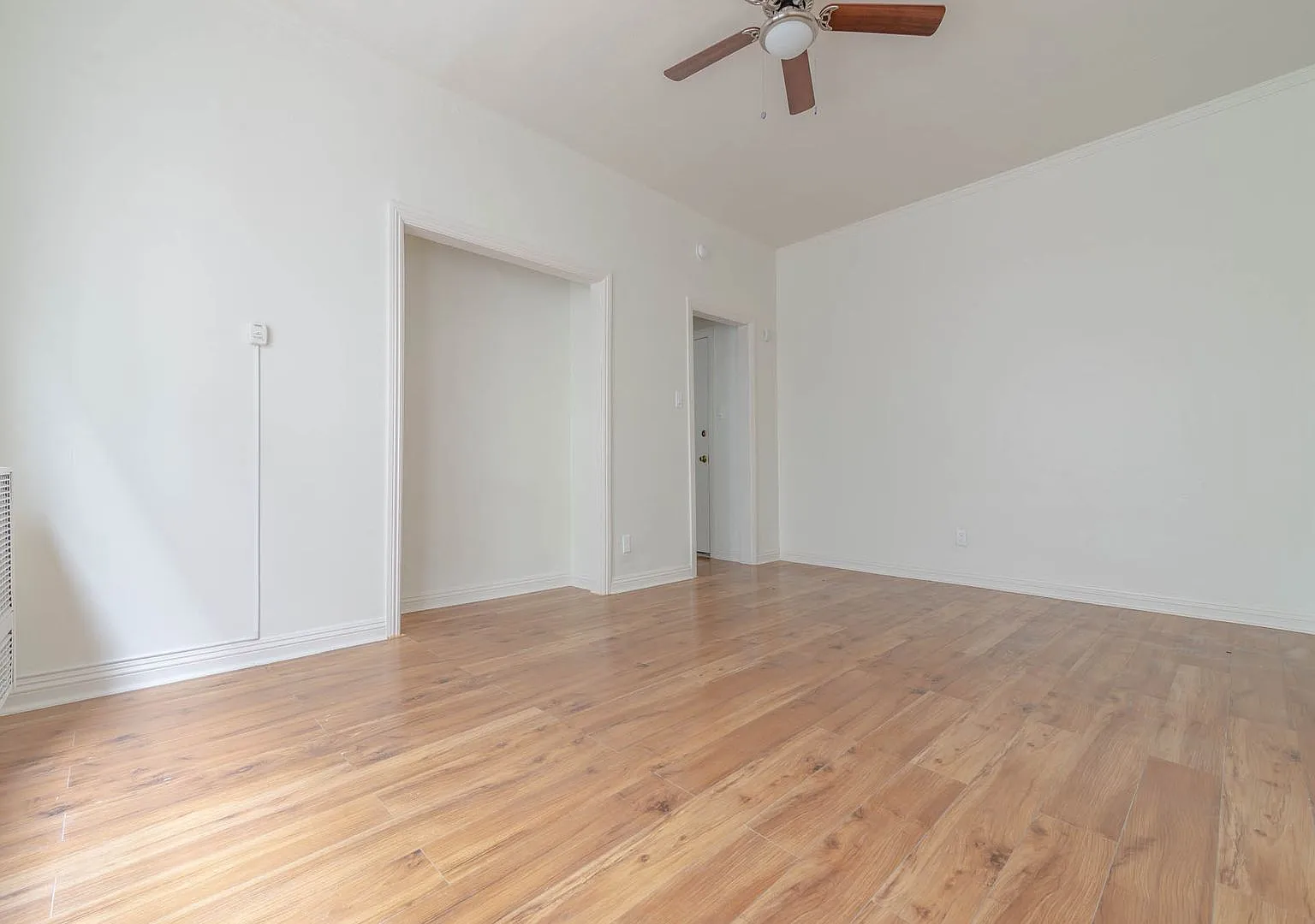 cor410 — Photo 2