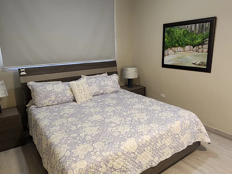 C4 La Jolla Palmas Del Mar Dr — Photo 16