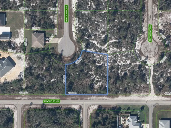224 Beech Way NW, Lake Placid, FL 33852