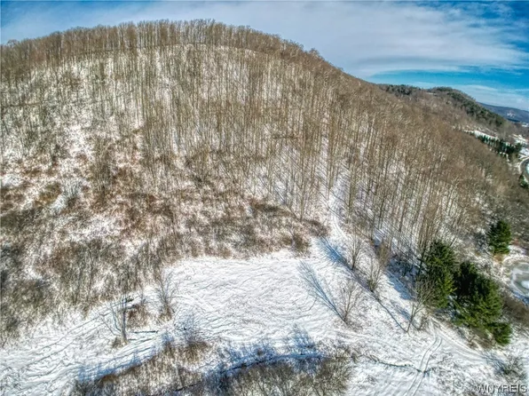 0 Nys Rte #242-3, Ellicottville, NY 14731