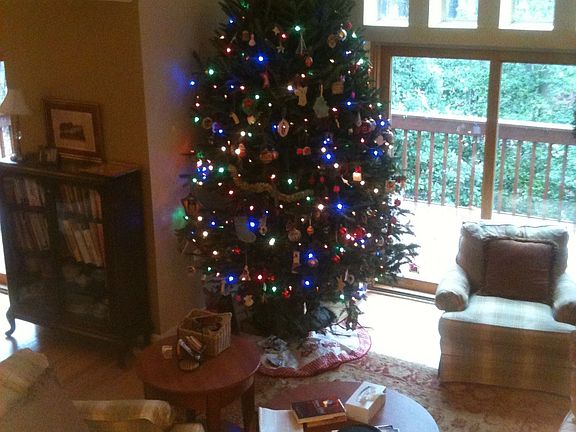 10 foot+ Christmas trees fit nicely with vaulted ceilings