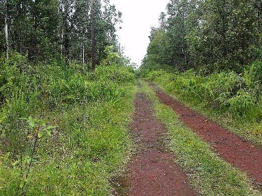 2nd image of Lanai St Lot 672