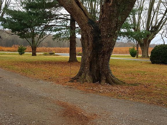 4th image of 7618 Highway 76e
