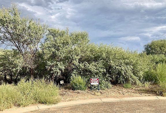 3rd image of 2351 S Diamond Creek Ln