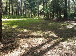 000 NE 236th Ct, Salt Springs, FL 32134
