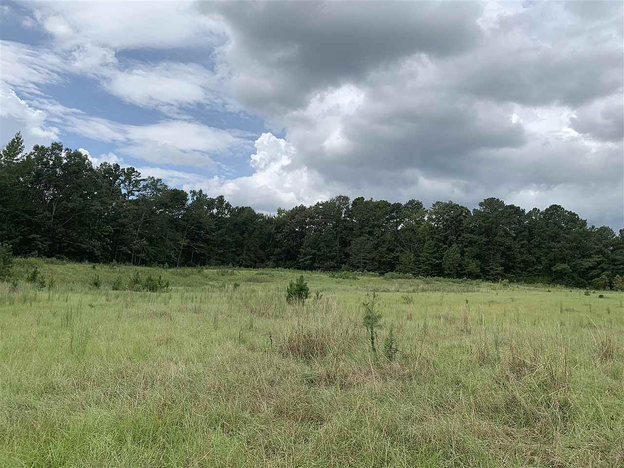 Highway 43 S 3, Pelahatchie, MS 39145 Zillow