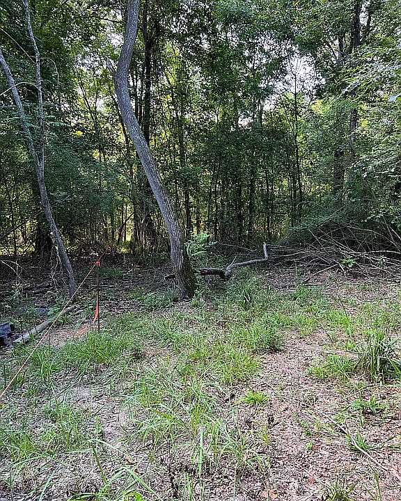 Level ground ready for home