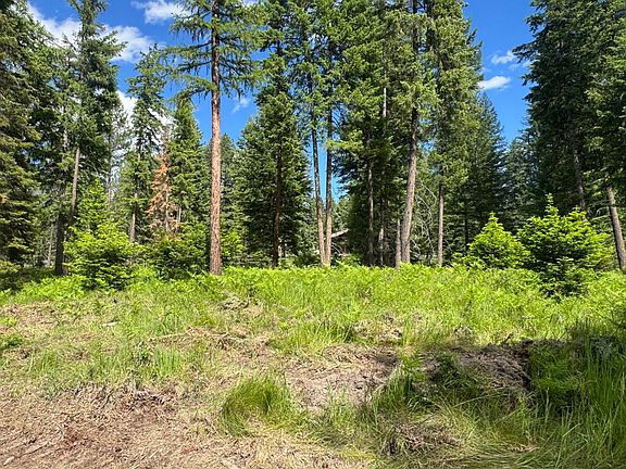 5th image of Nhn Big Fir Dr