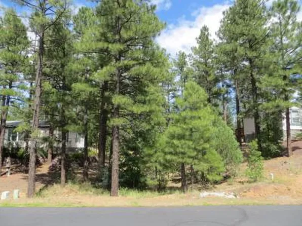 1041 S Cherokee Dr, Show Low, AZ 85901