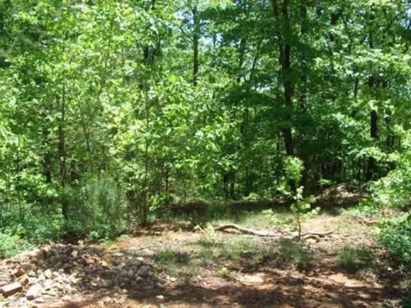 Fox Valley Rd, Clarkesville, GA 30523
